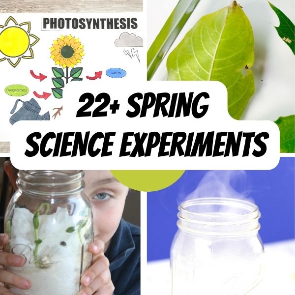 50 wissenschaftliche Frühlingsaktivitäten für Kinder