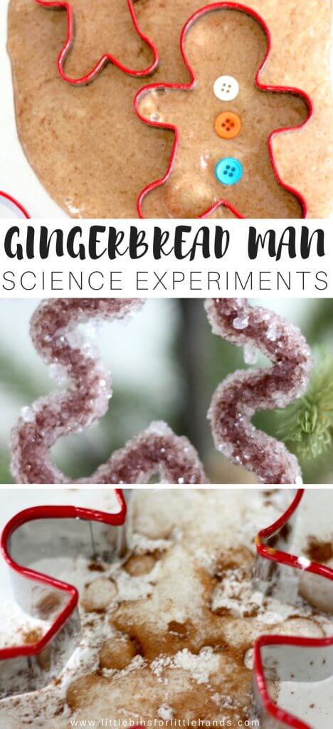 Mga Eksperimento sa Agham ng Pasko ng Gingerbread Man Para sa Mga Bata